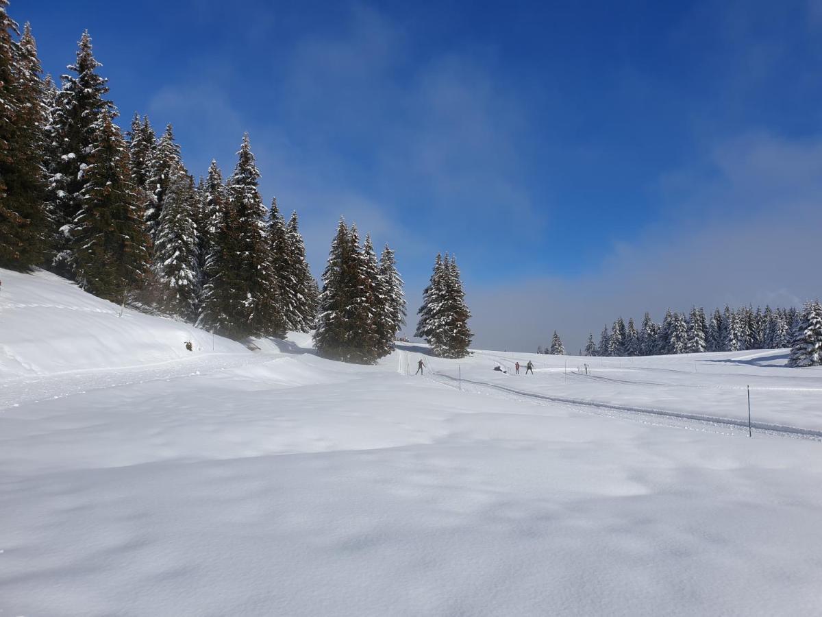 Le Chalet Theys المظهر الخارجي الصورة